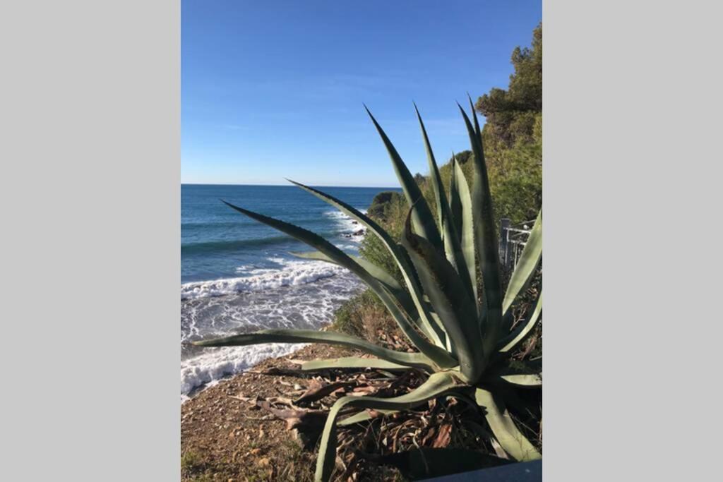 La Petite Pinede Studio Climatise Proche Plage Sanary-sur-Mer Exterior photo